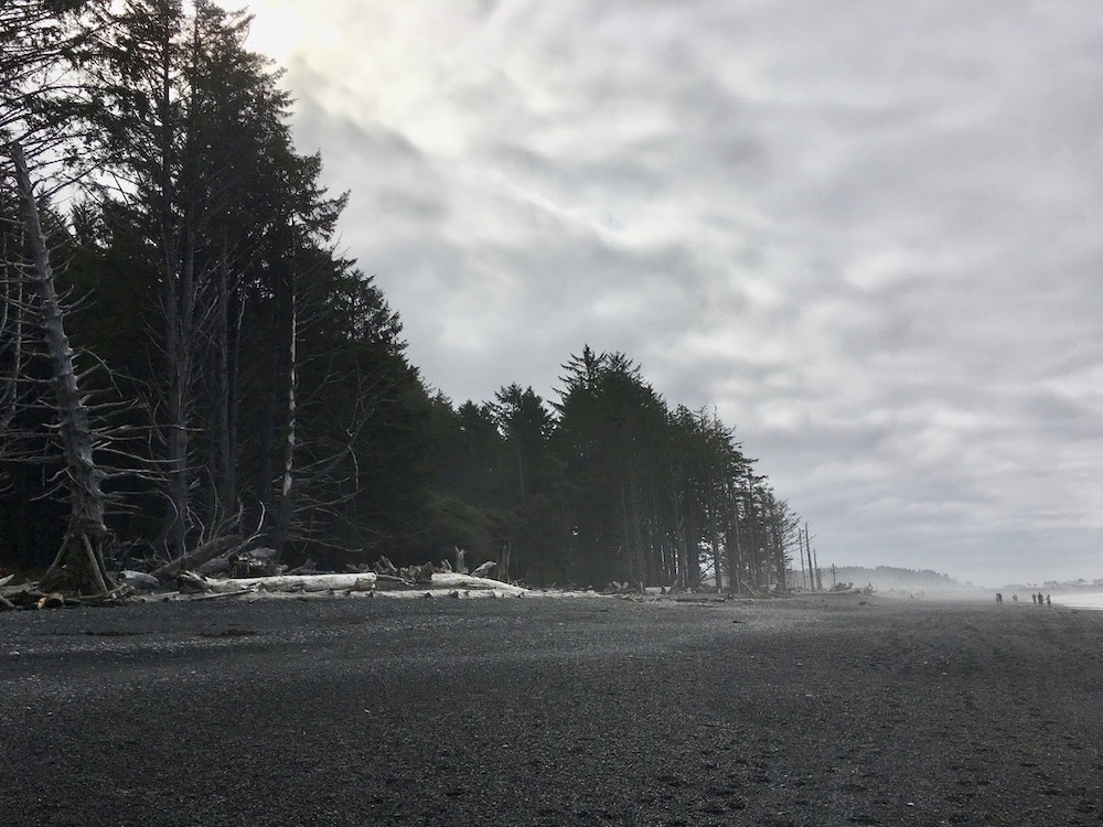 5 Highlights van Washington State - Rialto Beach