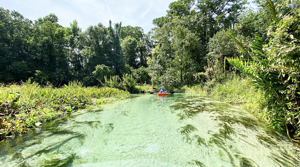 Kelly Park in Florida